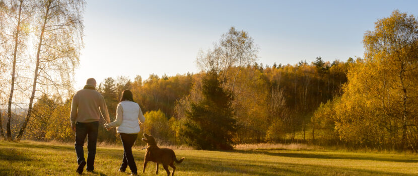 A couple walking a dog in the countryside.