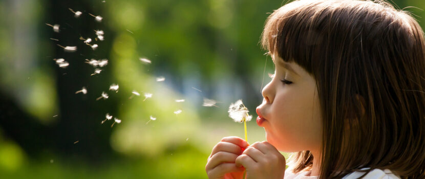 A child blowing a dandelion flower.